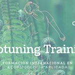 Ecotuning Training- Koru Transformación