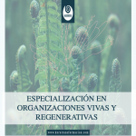 ORGANIZACIONES VIVAS