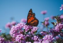 Loss and grief during the Covid-19 pandemic