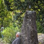 Ed-leaning-against-stone-1-2376-IES Congreso Spain 2019-Julianne Skai Arbor-TKAweb