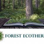 Forest Ecotherapy Mandala Logo-with Book in Forest-3
