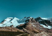 Natureza Selvagem e Atenção Plena