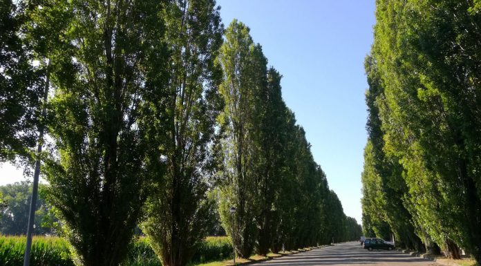 Come un filo che riconnette: riconoscersi natura!