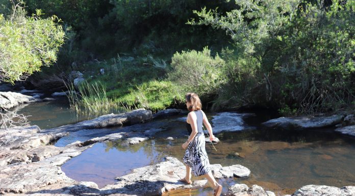 La Ecopsicologia como camino de conocimiento