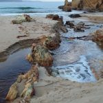 Tathra creek running into sea