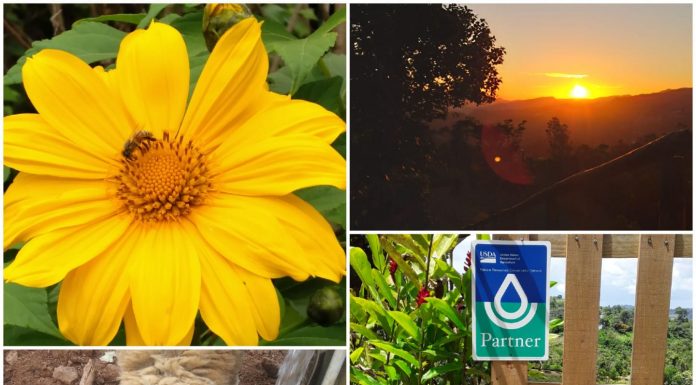 Progetto TOCANDO TIERRA: Fattoria agroecologica come spazio ecoterapeutico