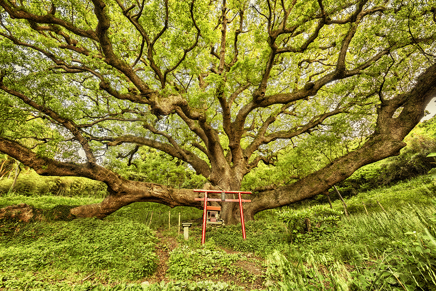 Japanese Painting: A Walk in Nature