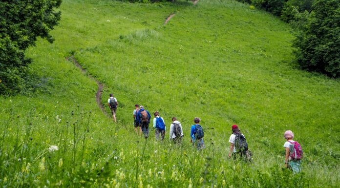 Le passeggiate partecipative come strumento per un cambio di paradigma Photo credit: Anett Wierziczky | Ecopsychology Institute
