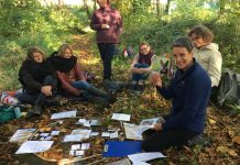 How is it to become an Ecotuner?