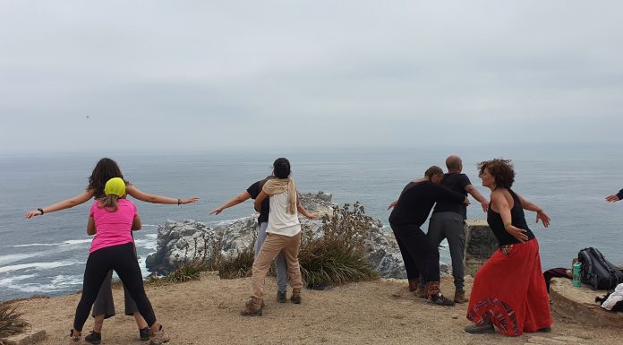 Las emociones no son biodegradables