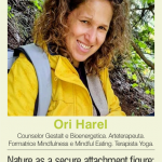 Ori Harel