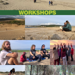 Workshop copertina