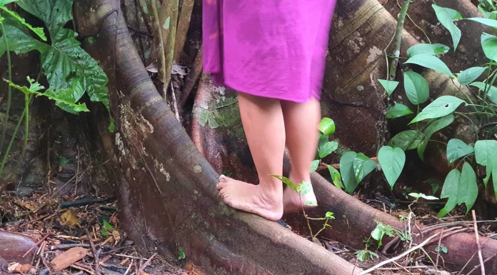 Conciencia de las relaciones de simbiosis con nuestros territorios