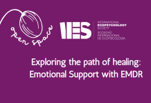Exploring the Path of Healing: Emotional Support with EMDR