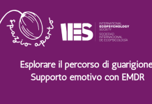 Esplorare il percorso di guarigione: supporto emotivo con l’EMDR