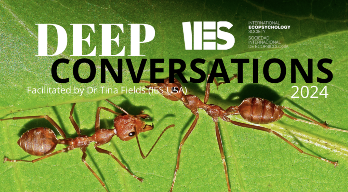 Celebrating the Deep Conversations of 2024