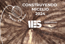 Open Space: Construyendo Micelio en IES en 2024