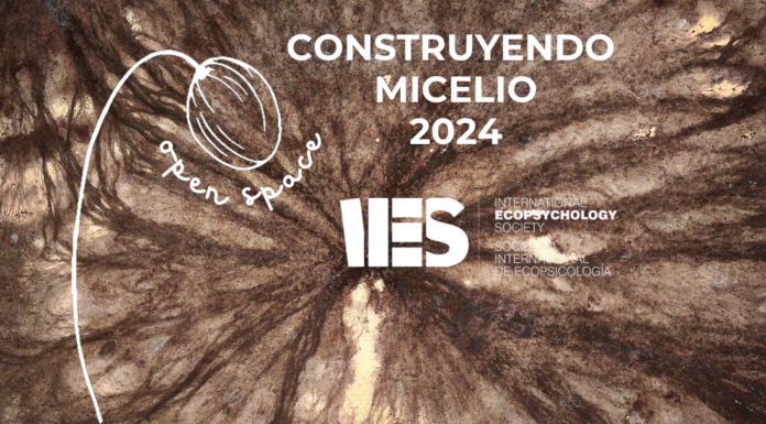Open Space: Construyendo Micelio en IES en 2024