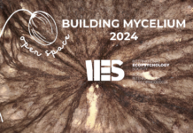 Open Space: Building the IES Mycelium in 2024