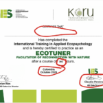 diploma ies