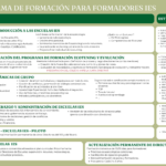 4. FORMACIÓN DE FORMADIORES.(Español)