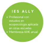 IES ALLY