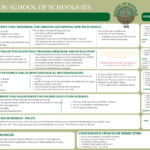 6c. Program Schools of Schools (Inglés)