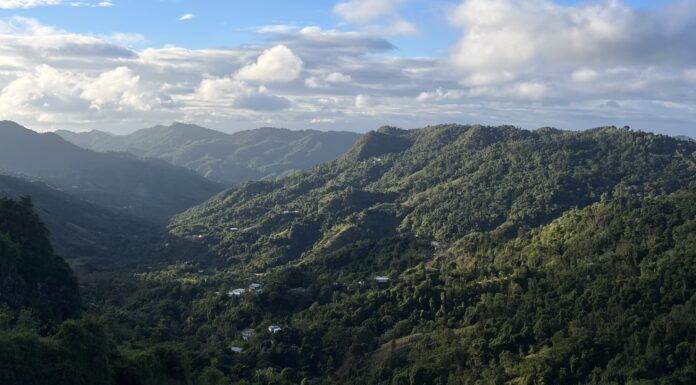 Primer Ciclo de Webinars IES– Diálogos con la Tierra