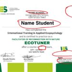 IES – Diplomi Ecotuner.pdf