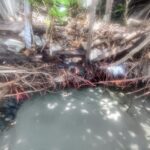 Subterranean Rivers