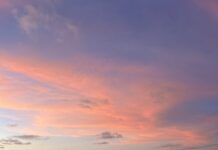 Third IES Webinar Series – Ecosystemic Health