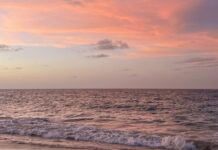 Tercer Ciclo de Webinars IES– Salud Ecosistémica