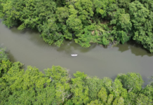 Trauma ecopsicológico: cuando la Tierra se mueve y el vínculo se quiebra Rio Ozama separando la tierra firme y manteniendo el flujo del agua